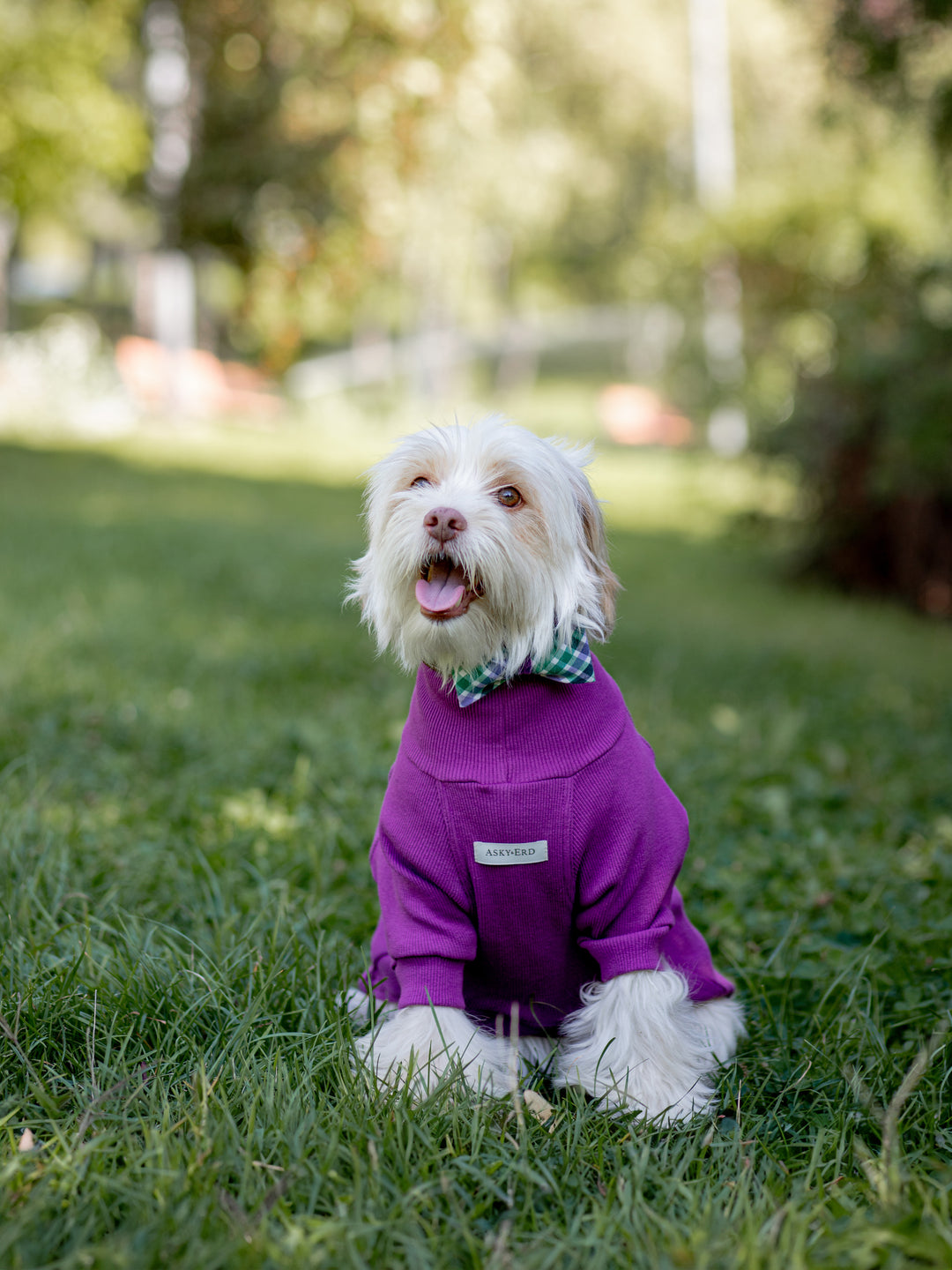 Turtleneck Tshirt | Royal Plum