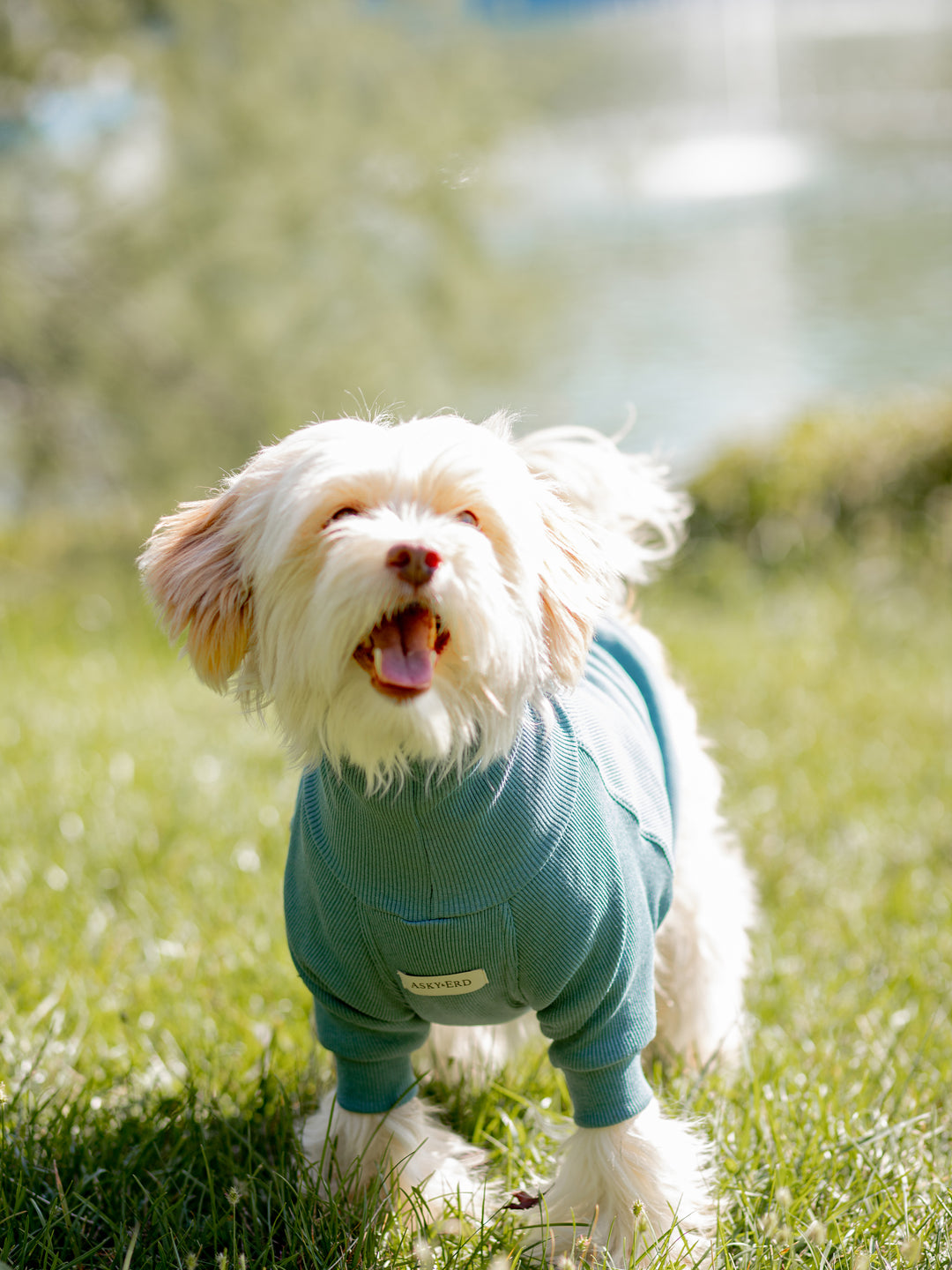 Turtleneck Tshirt | Ocean Sage