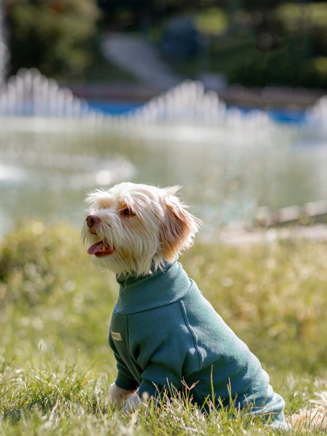 Turtleneck Tshirt | Ocean Sage