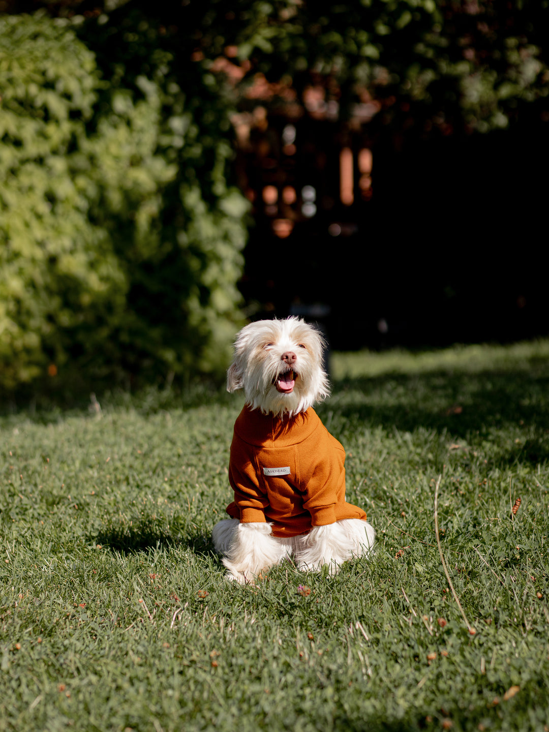 Turtleneck Tshirt | Cinnamon Glow