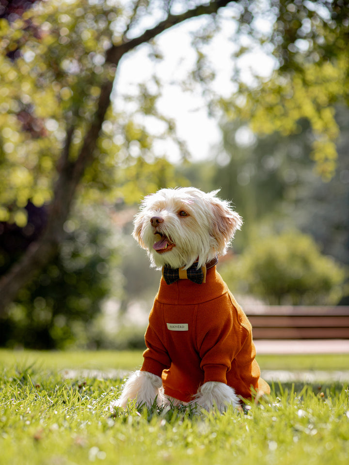 Turtleneck Tshirt | Cinnamon Glow