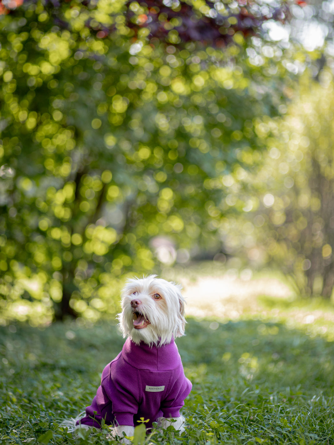 Turtleneck Tshirt | Royal Plum