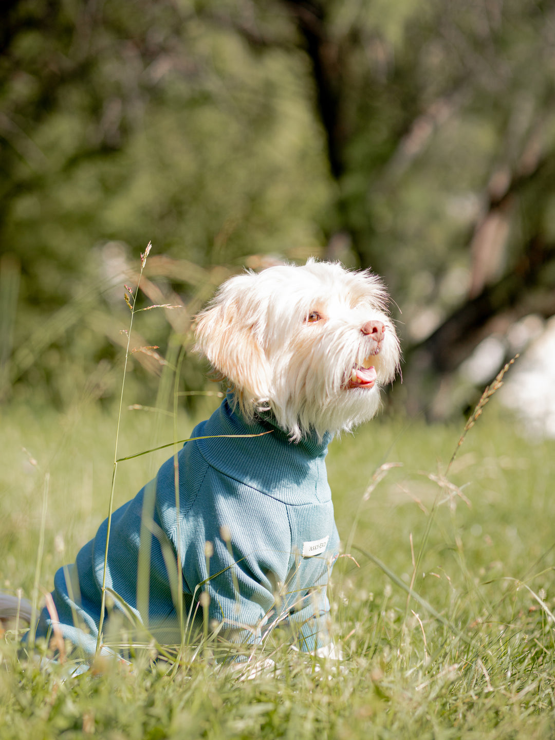 Turtleneck Tshirt | Ocean Sage