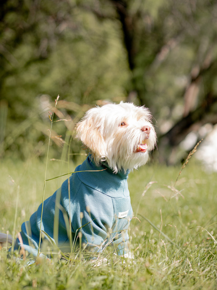 Turtleneck Tshirt | Ocean Sage