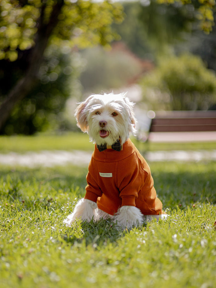 Turtleneck Tshirt | Cinnamon Glow