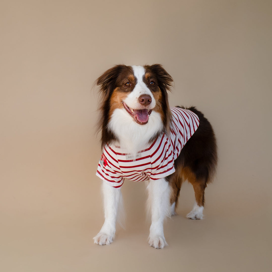 Bonjour Paris T-Shirt | Rouge Breton