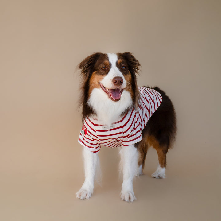 Bonjour Paris T-Shirt | Rouge Breton