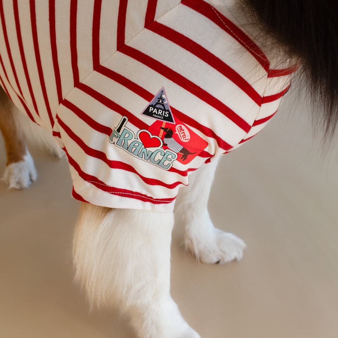 Bonjour Paris T-Shirt | Rouge Breton