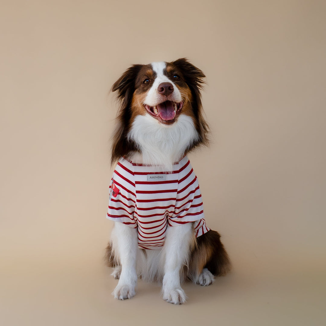 Bonjour Paris T-Shirt | Rouge Breton