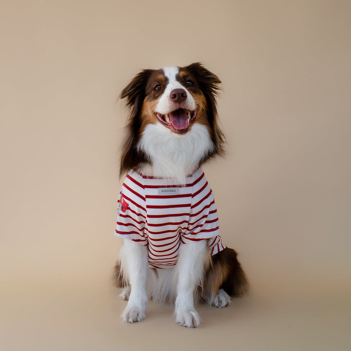 Bonjour Paris T-Shirt | Rouge Breton