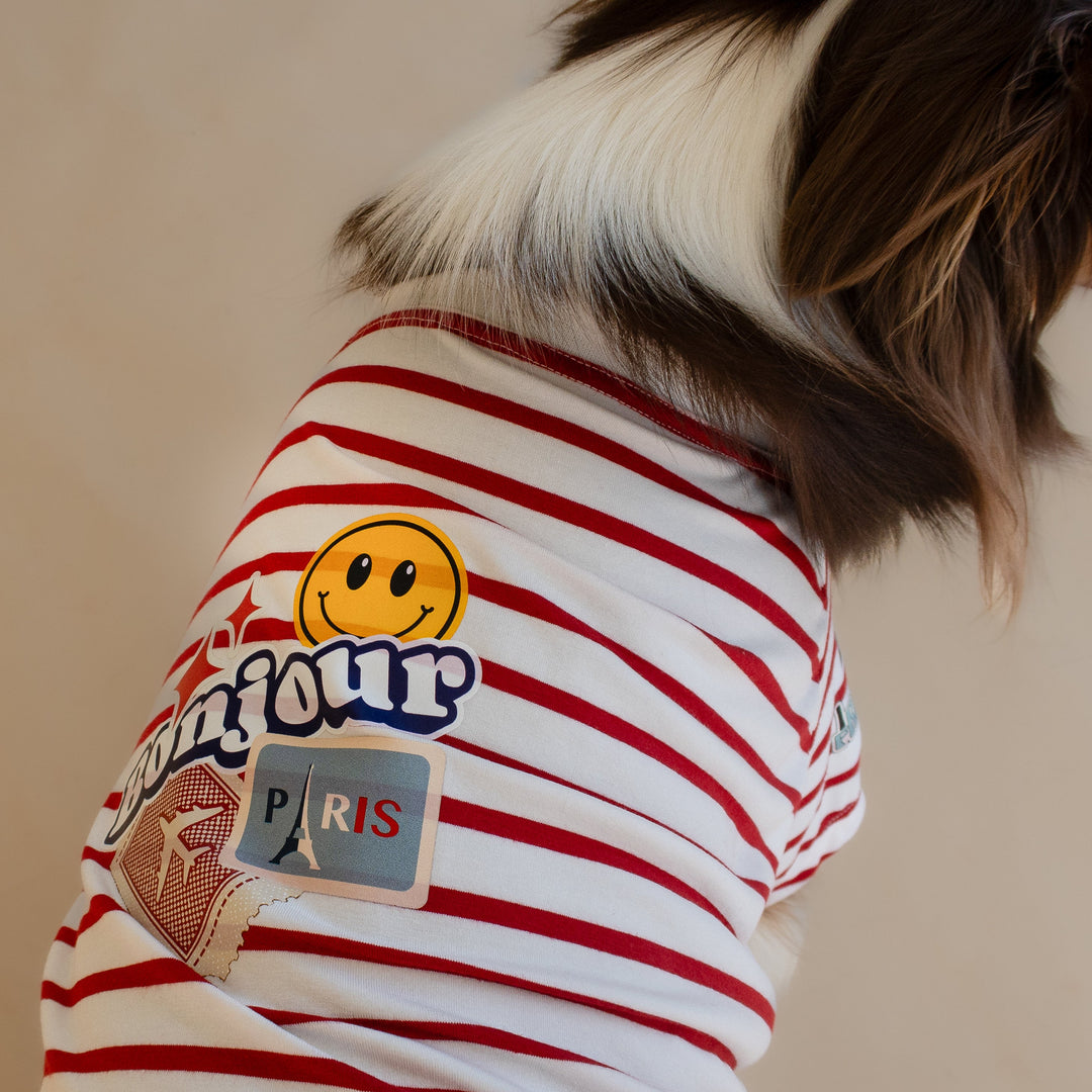 Bonjour Paris T-Shirt | Rouge Breton