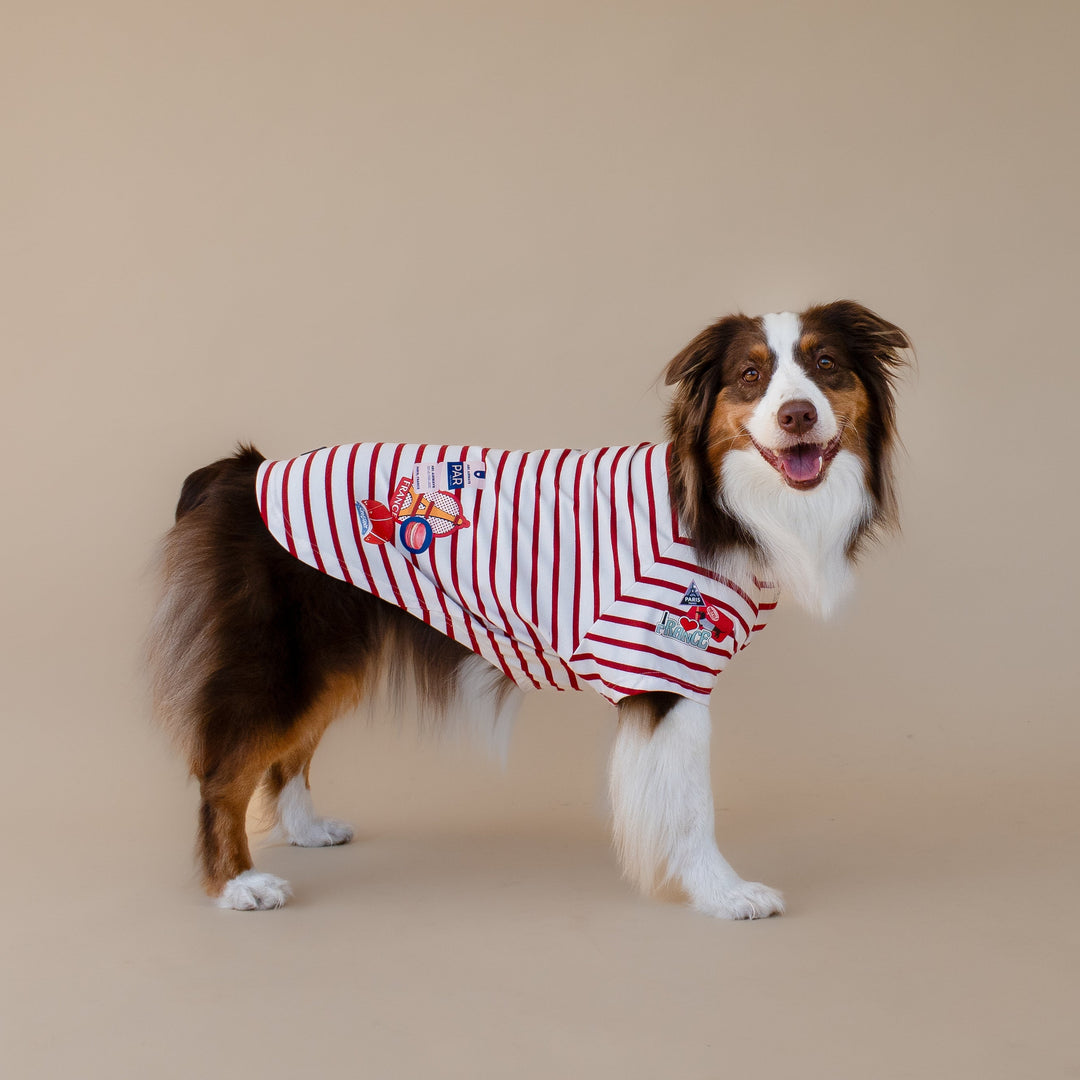 Bonjour Paris T-Shirt | Rouge Breton