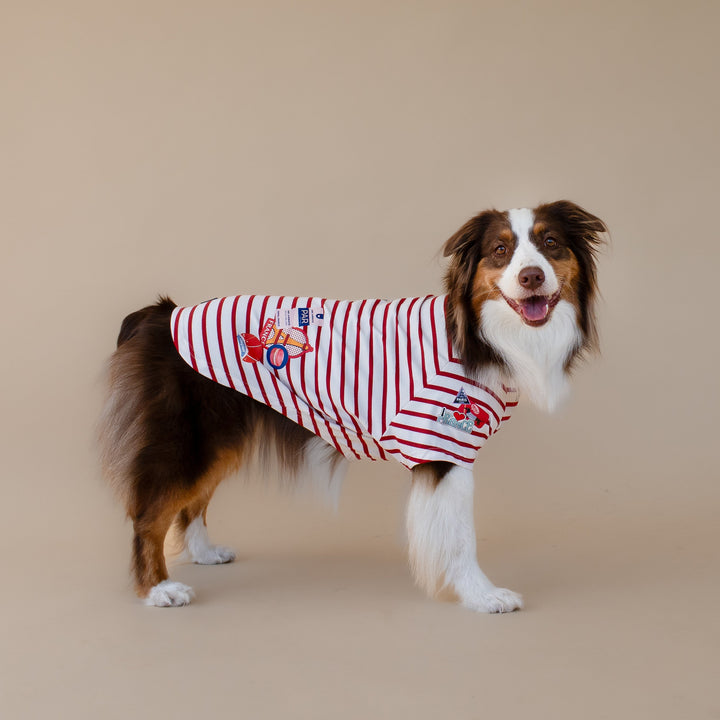 Bonjour Paris T-Shirt | Rouge Breton