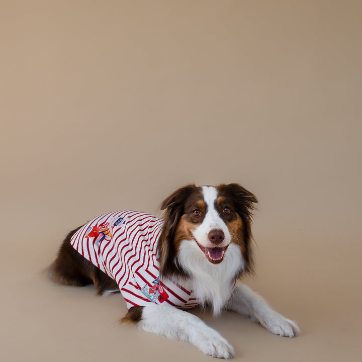 Bonjour Paris T-Shirt | Rouge Breton