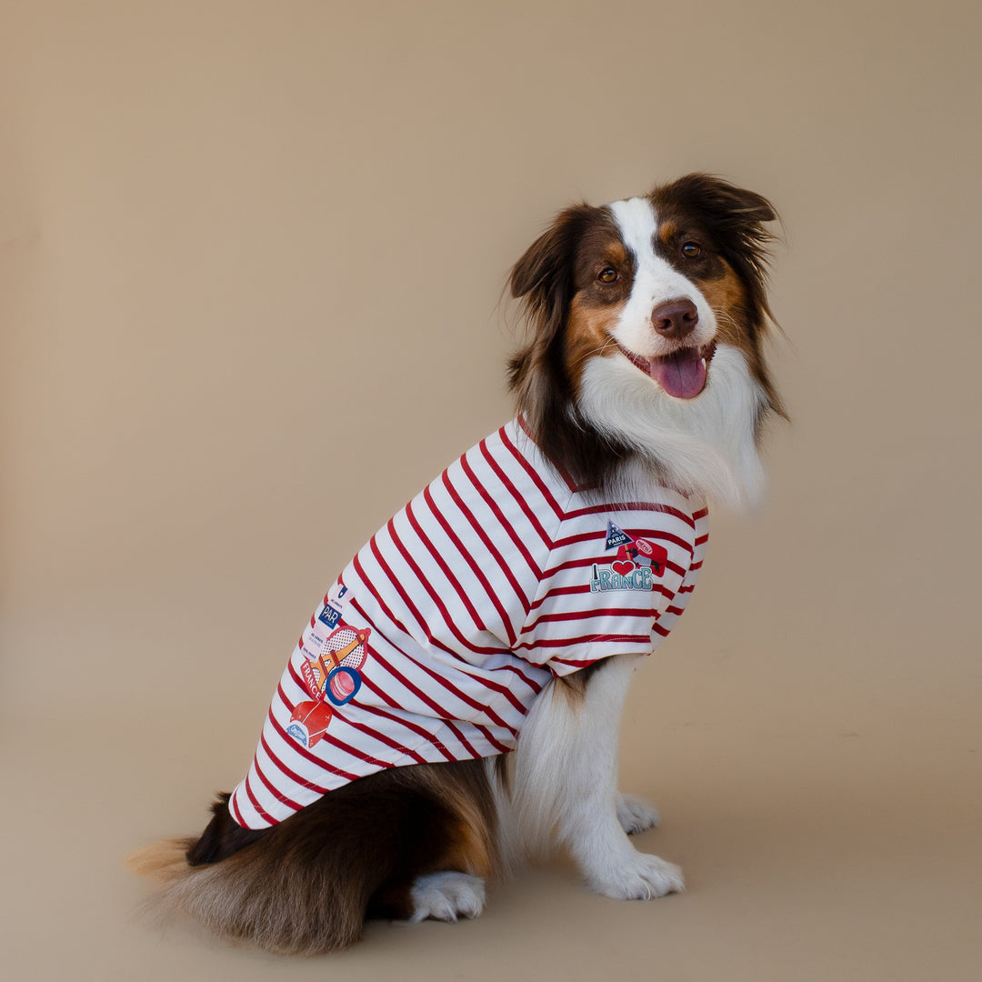 Bonjour Paris T-Shirt | Rouge Breton
