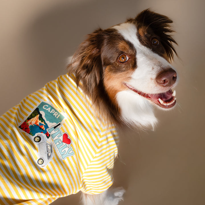 Ciao Capri T-Shirt | Limoncello