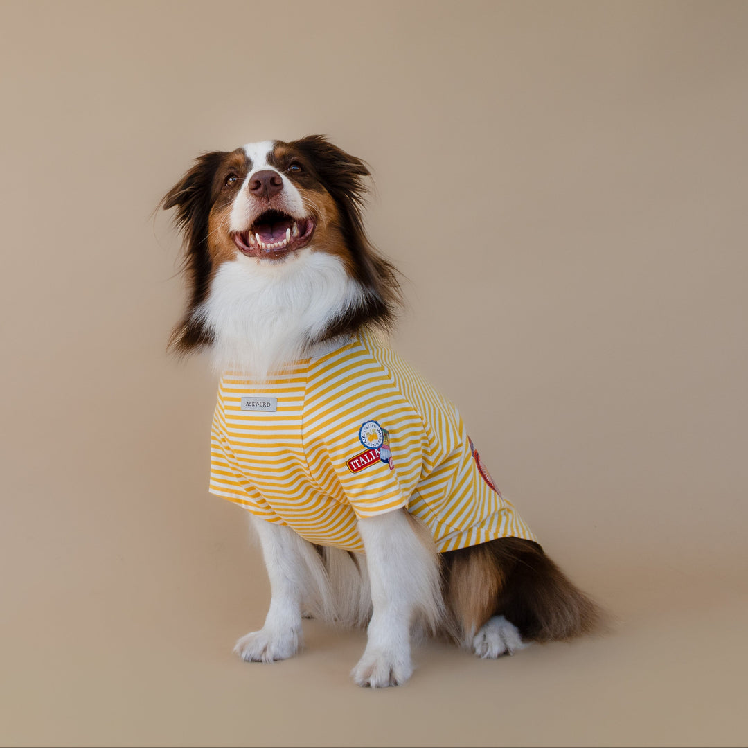 Ciao Capri T-Shirt | Limoncello