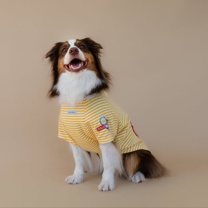 Ciao Capri T-Shirt | Limoncello