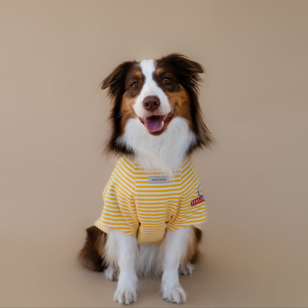 Ciao Capri T-Shirt | Limoncello