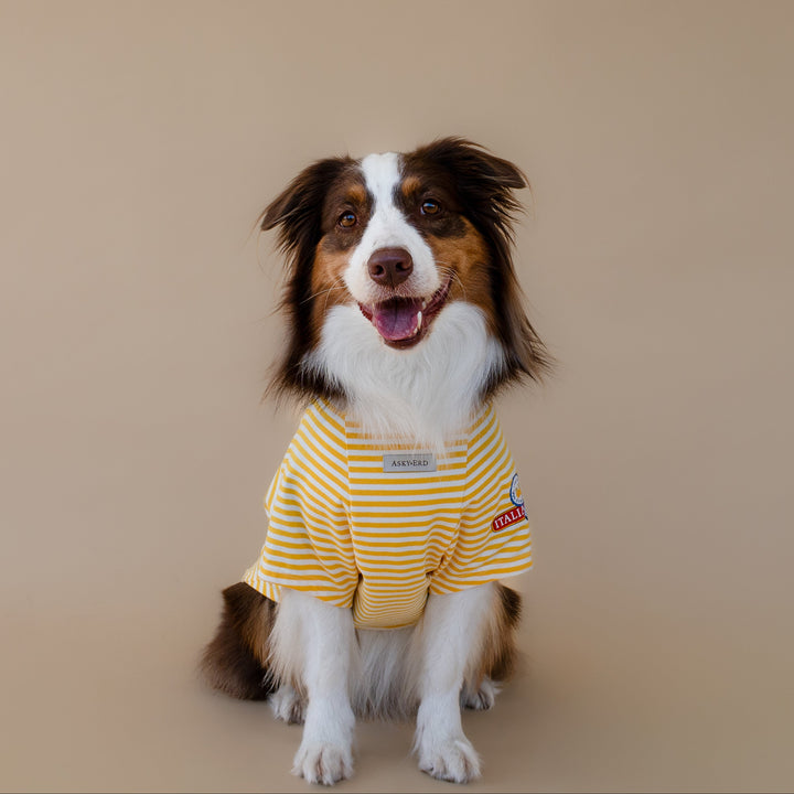 Ciao Capri T-Shirt | Limoncello