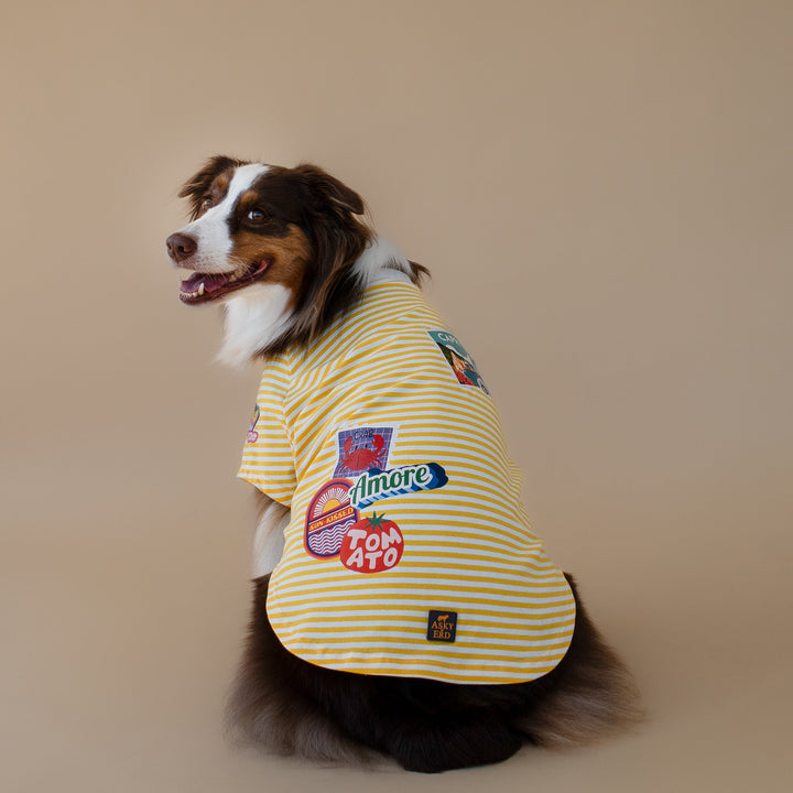 Ciao Capri T-Shirt | Limoncello