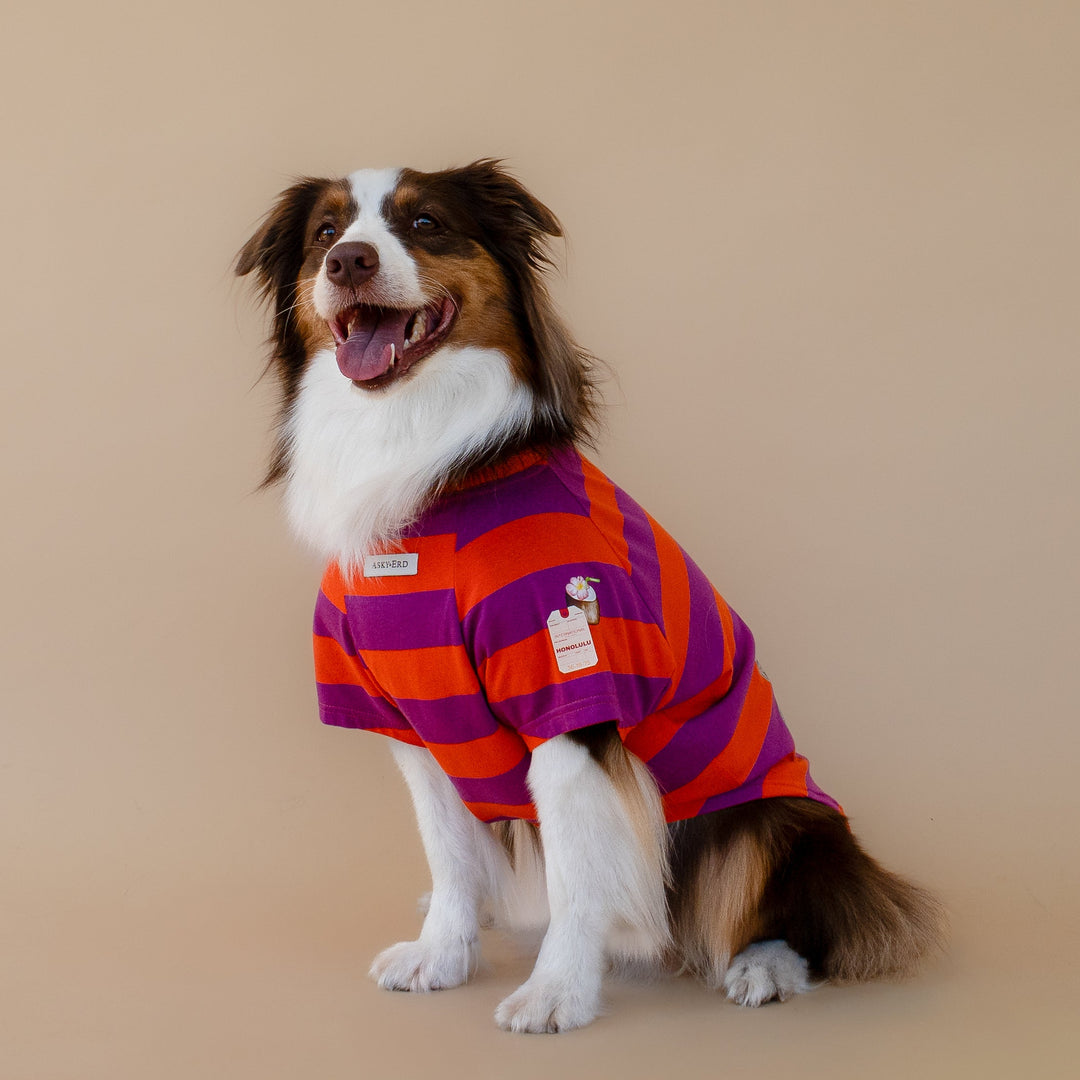 Aloha Hawaii T-Shirt | Papaya & Plum