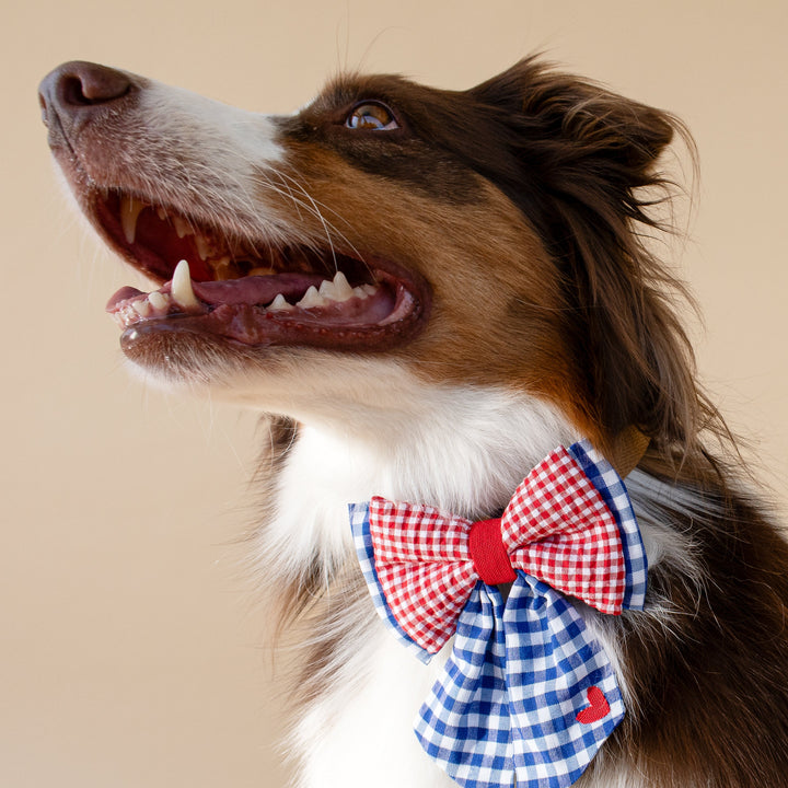 | Ribbon Bow | Bistro Check
