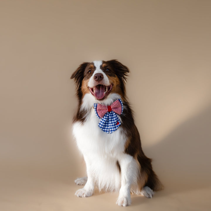 | Ribbon Bow | Bistro Check
