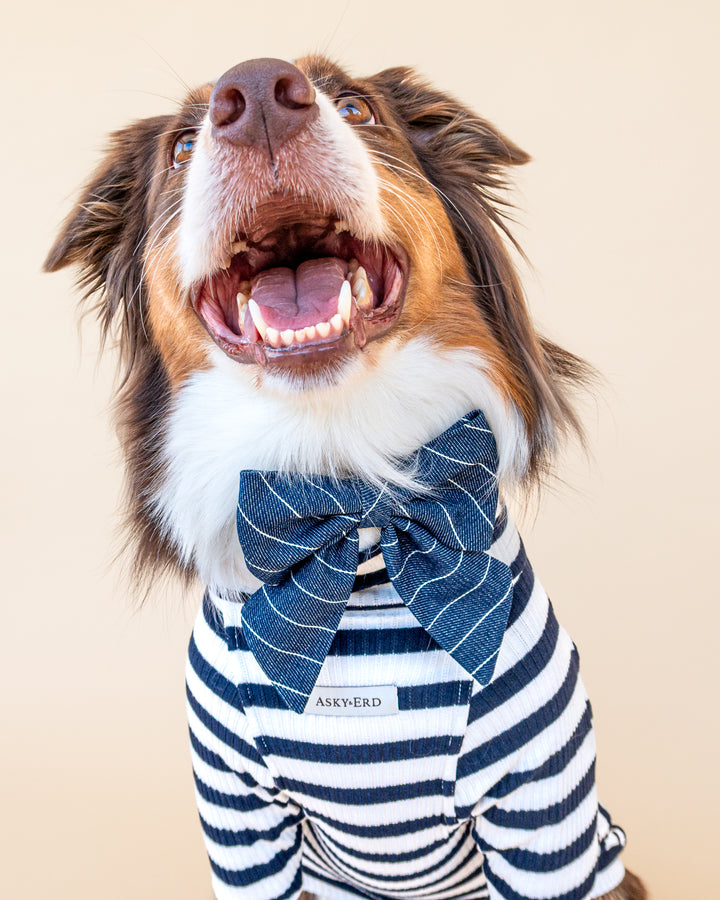 | Ribbon Bow | Navy Pinstripe