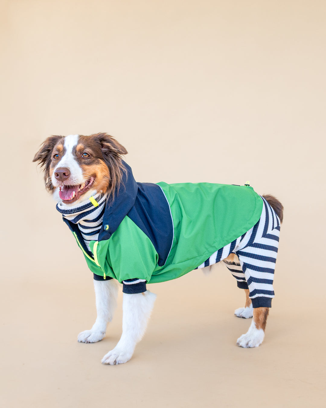 Boston Raincoat | Navy & Forest
