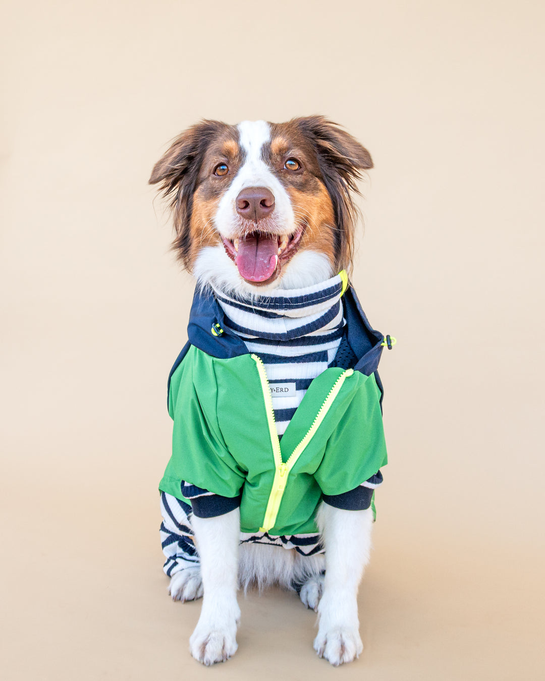 Boston Raincoat | Navy & Forest