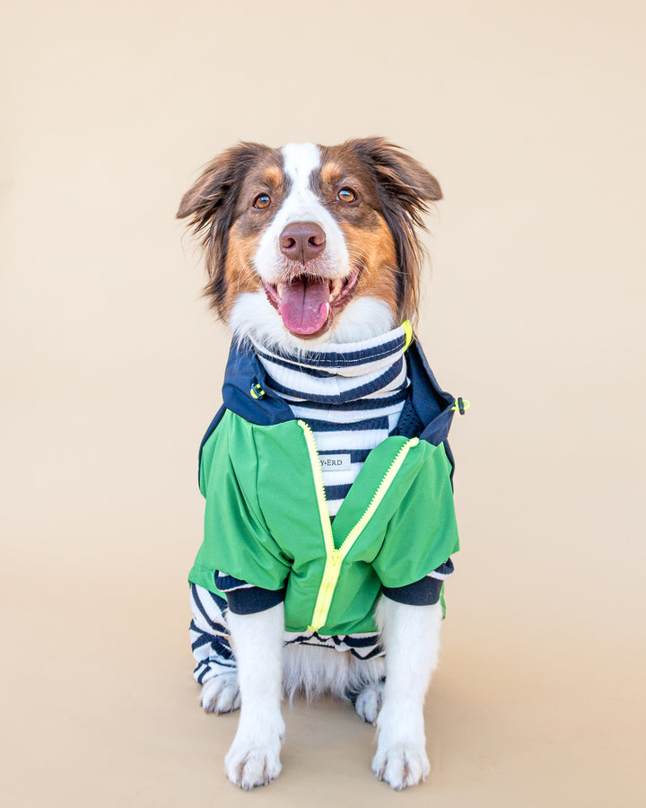 Boston Raincoat | Navy & Forest