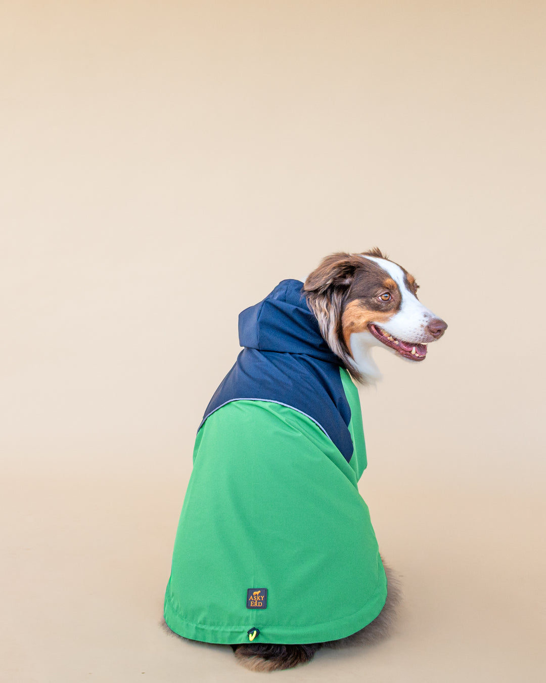 Boston Raincoat | Navy & Forest