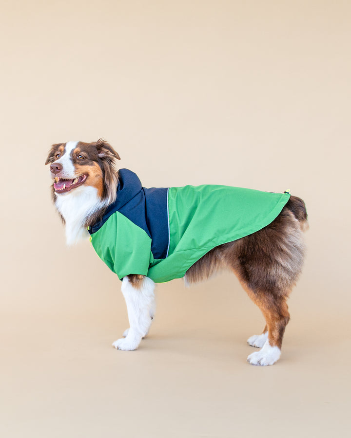 Boston Raincoat | Navy & Forest