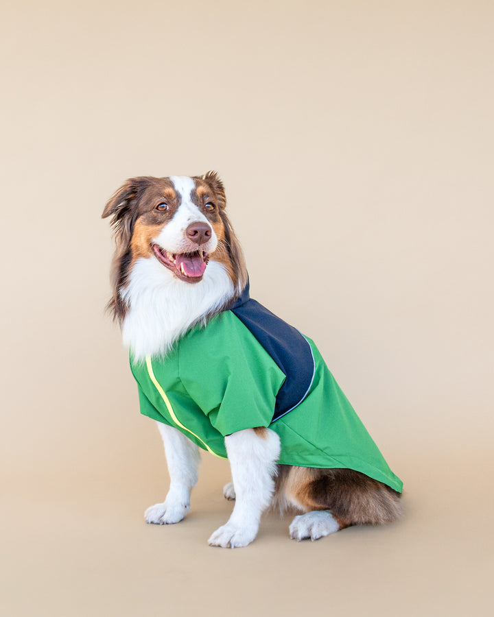 Boston Raincoat | Navy & Forest