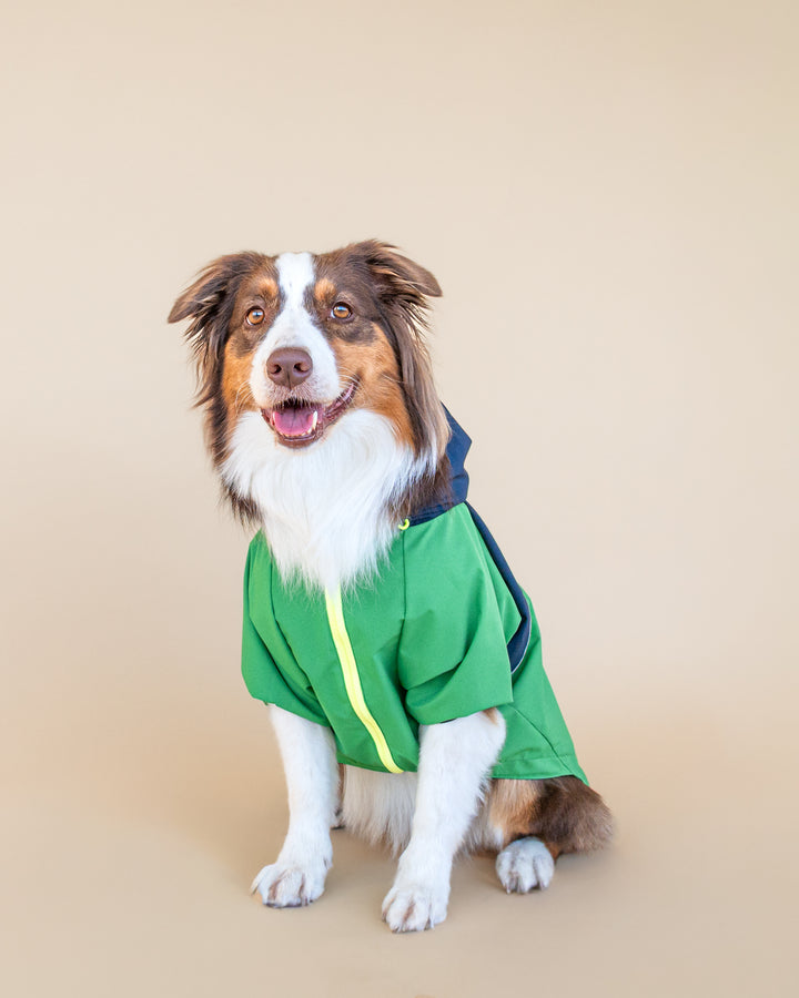 Boston Raincoat | Navy & Forest