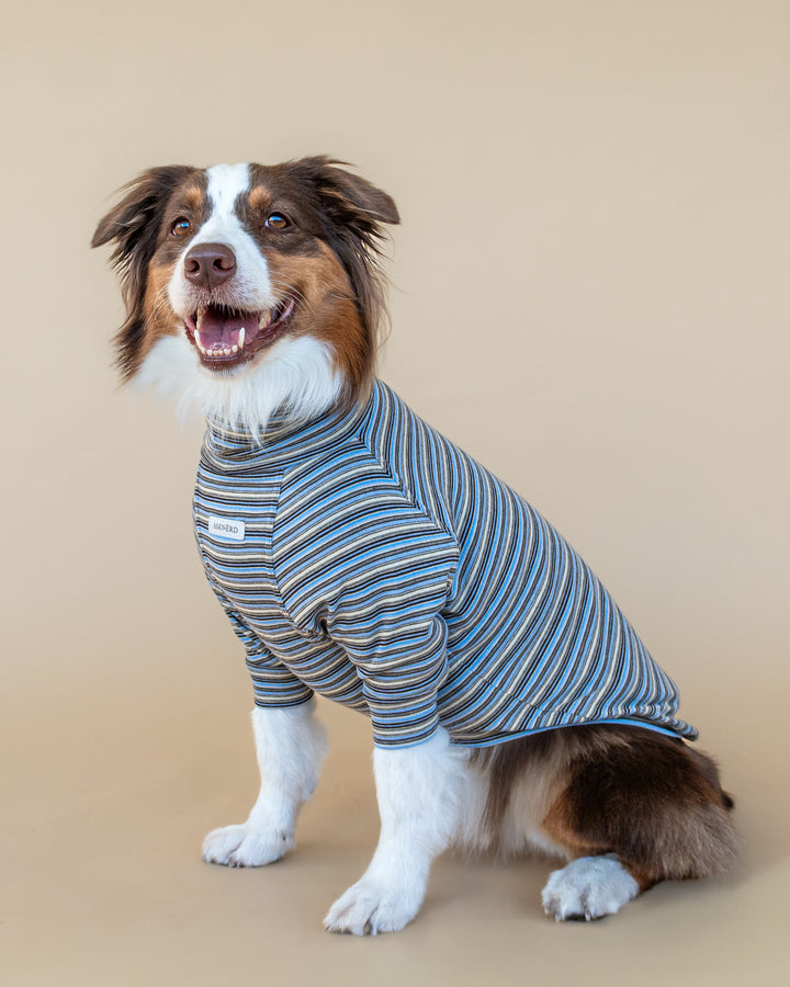Turtleneck Fine Knit | Sky & Cocoa