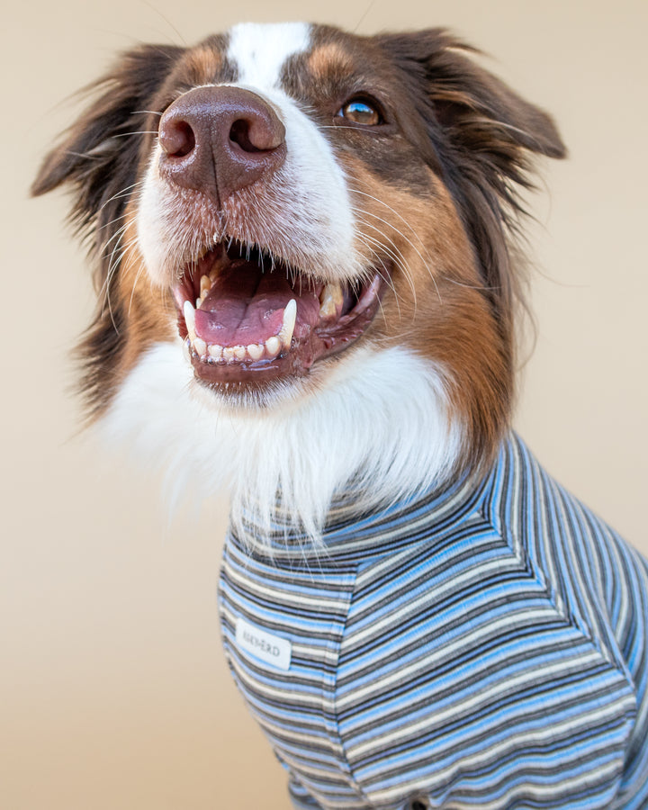 Turtleneck Fine Knit | Sky & Cocoa