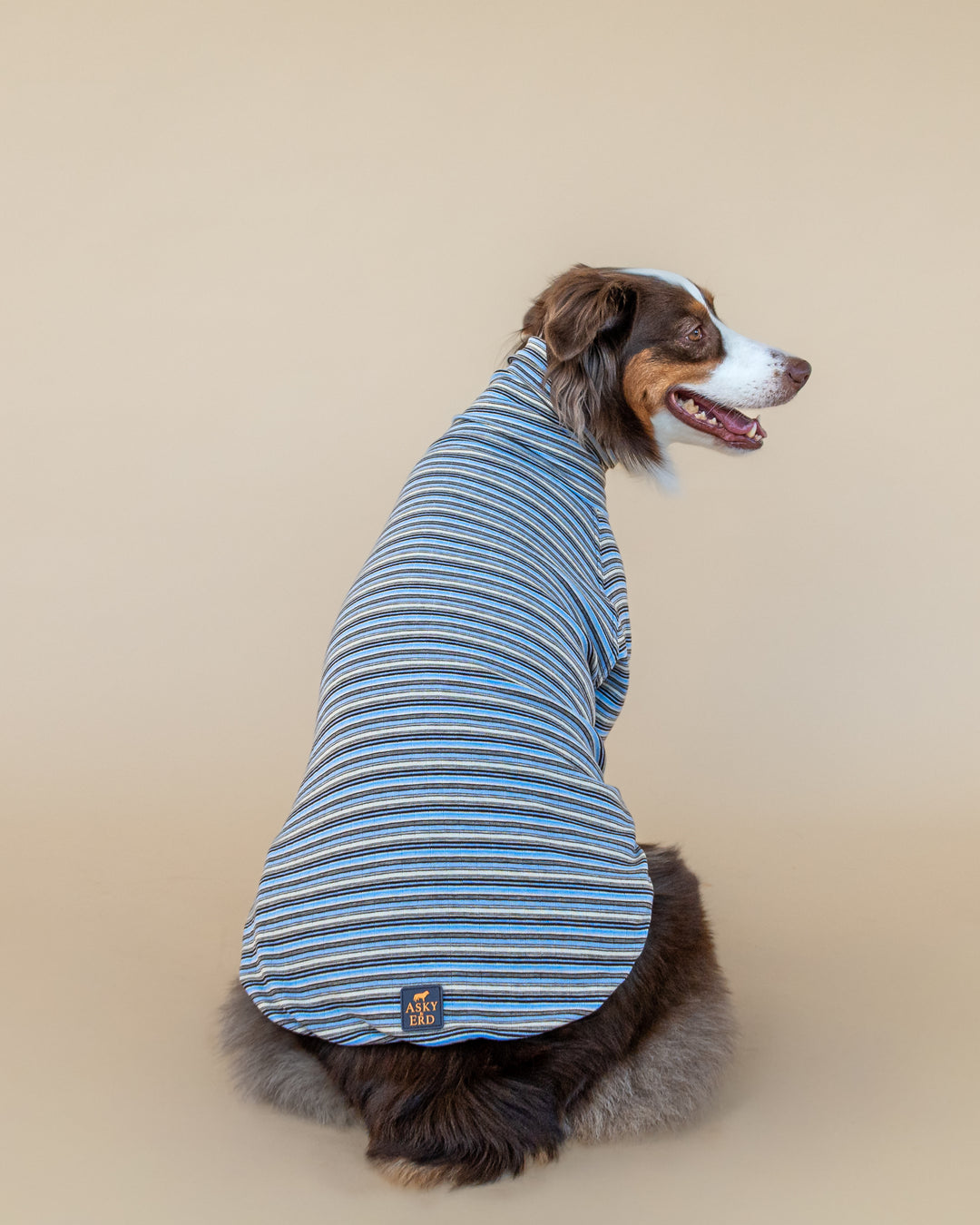 Turtleneck Fine Knit | Sky & Cocoa