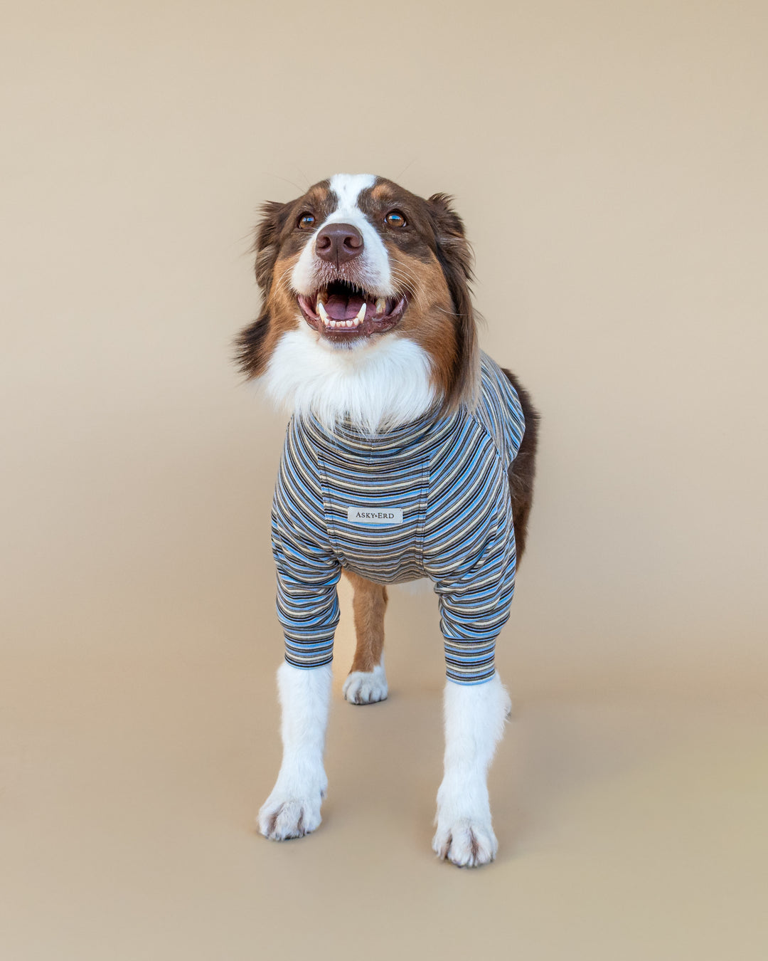 Turtleneck Fine Knit | Sky & Cocoa