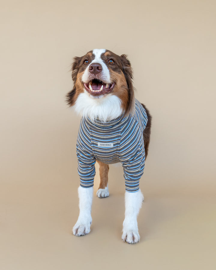 Turtleneck Fine Knit | Sky & Cocoa