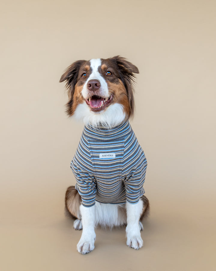 Turtleneck Fine Knit | Sky & Cocoa