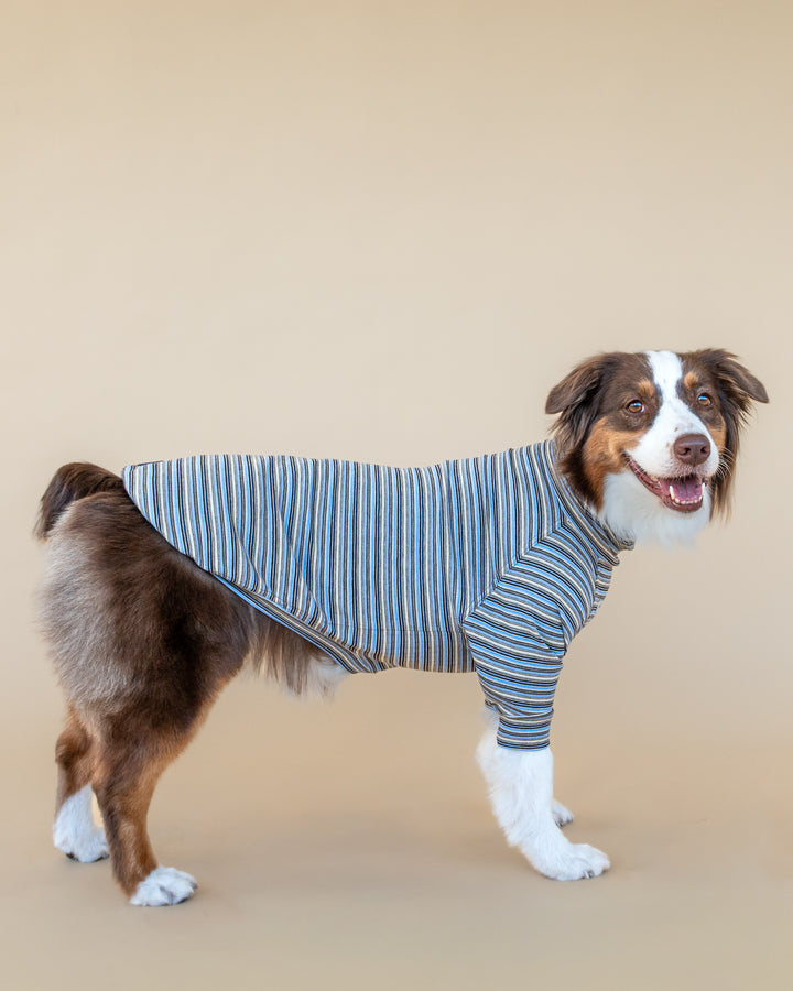 Turtleneck Fine Knit | Sky & Cocoa