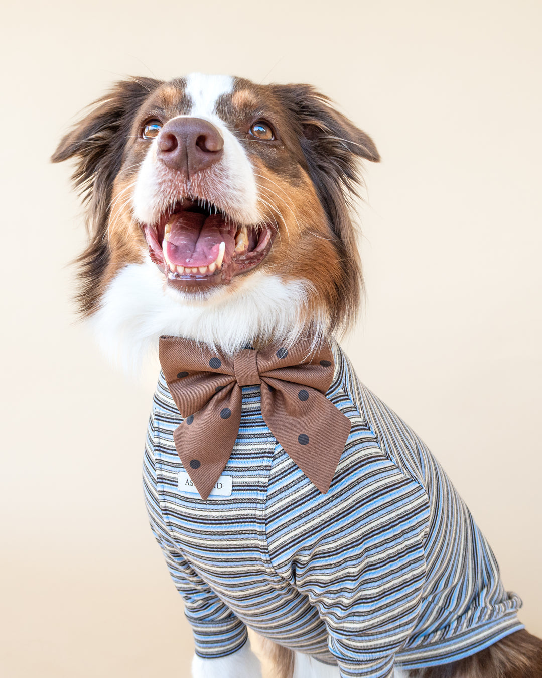 Turtleneck Fine Knit | Sky & Cocoa