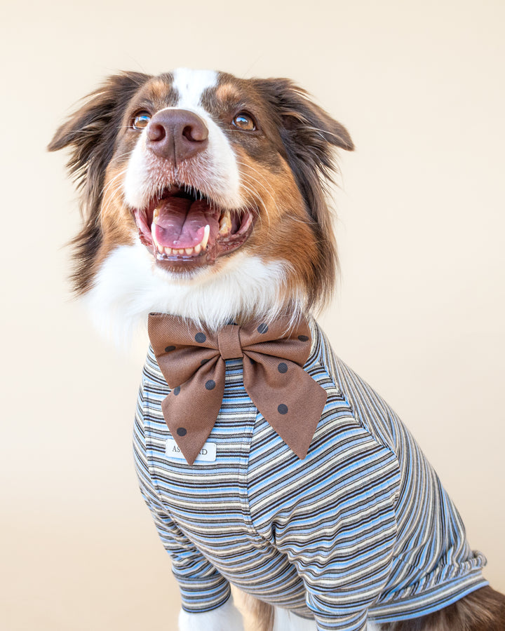 Turtleneck Fine Knit | Sky & Cocoa