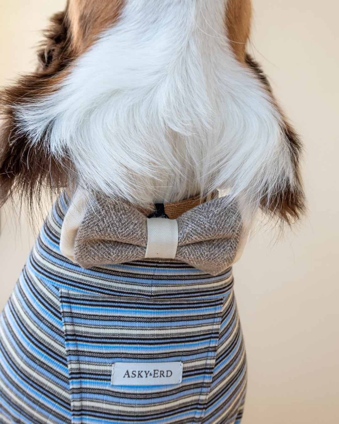 Turtleneck Fine Knit | Sky & Cocoa