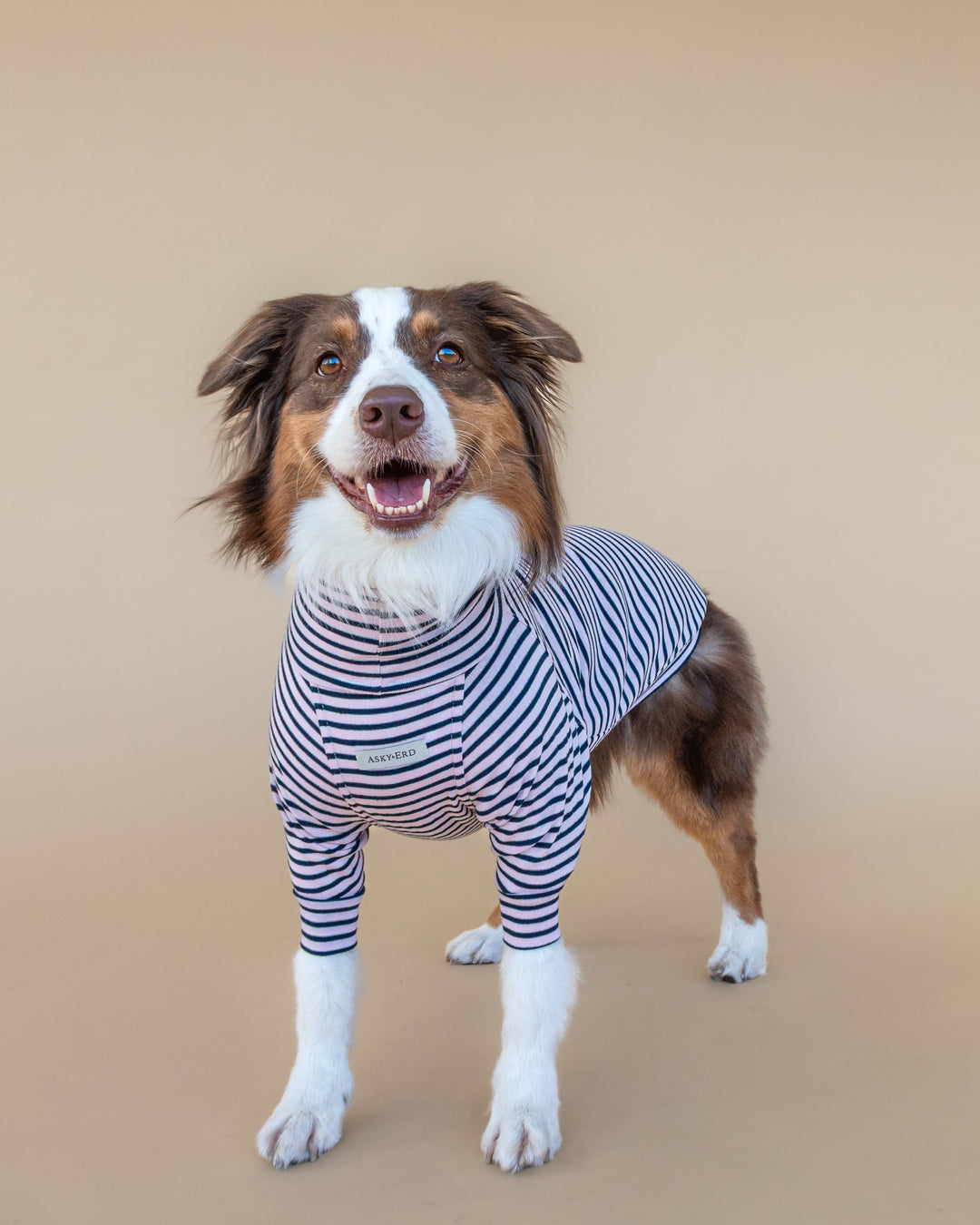 Turtleneck Fine Knit | Blush & Navy