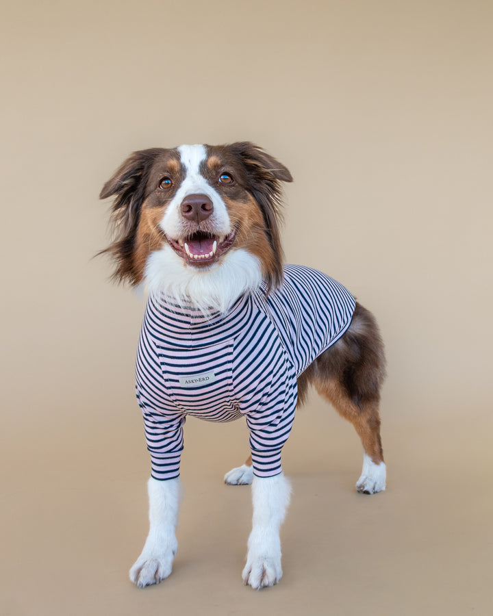 Turtleneck Fine Knit | Blush & Navy