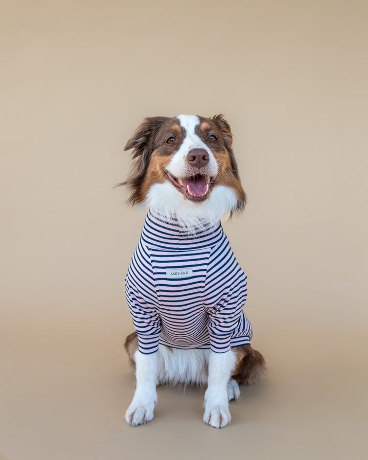 Turtleneck Fine Knit | Blush & Navy