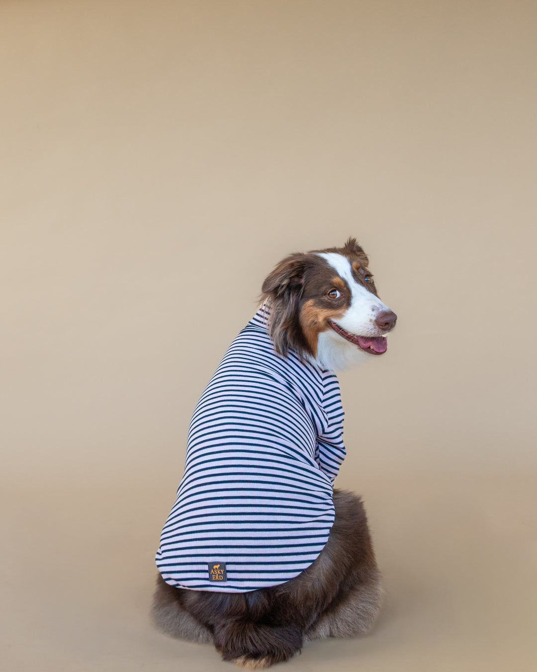 Turtleneck Fine Knit | Blush & Navy